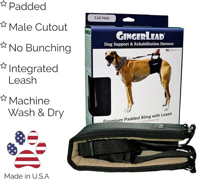 GINGERLEAD Dog Sling Hip Lift Harness, Tall Male fits Tall, Lean Dogs Like Greyhounds or Great Danes. Padded Support Aid to Help Pets Up or Down Stairs, in or Out of Vehicles. Made in U.S.A.
