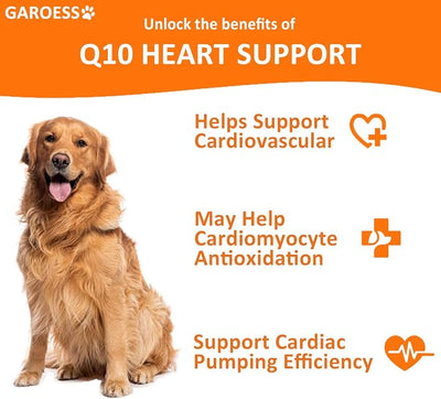 CoQ10 Heart Chew for Dogs, Support Dogs Heart Health, Cognitive & Energy, CoQ10 Chews for Cardiovascular & Gum Health & antioxidant Protection, Bacon Flavor, 360 Count (3 Pack/Love it)