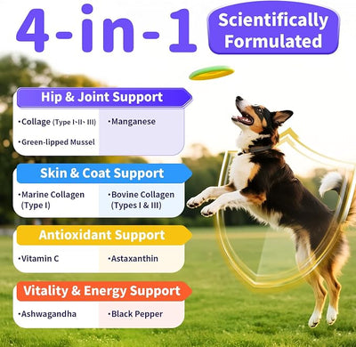 Collagen for Dogs - 12-in-1 Liquid Collagen for Skin & Coat Support, Hip & Joint with Types I, II & III Drops, Hyaluronic Acid, Green-Lipped Mussel - Chicken Flavor, 4 FL Oz