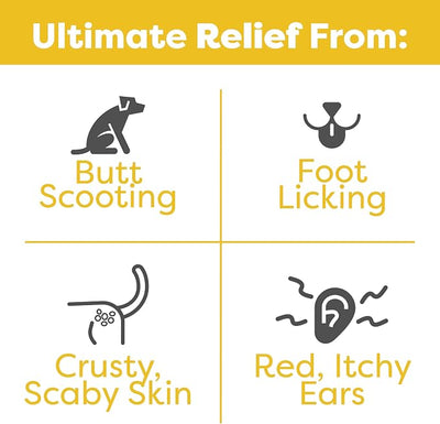 Doc Itchy: Itch Defense Dog Allergy Chews | Zinc + P.E.A. Itch & Allergy Relief Armor | Improve Paw Licking, Scratching, Hot Spots, Red Ears | Zinc Supplement for Dogs | Food Allergy Safe | 90 Chews