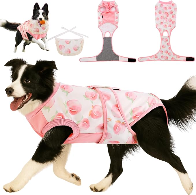 Soft Dog Surgery Recovery Suit for Female/Male Spay/Neuter, Bandana Set Included, E-Collar Cone Alternative, Large Dogs Onesie Full Body Surgical Suits After Spayed Neutered, Medical Pet Bodysuit, L