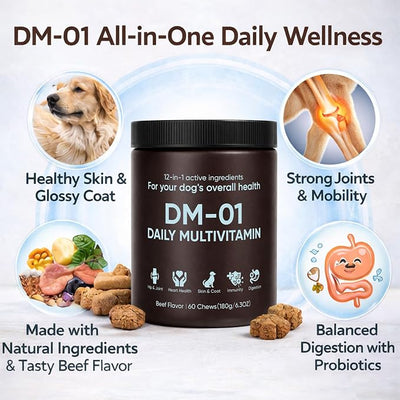 DM-01 Daily Multivitamin for Dogs, Dog Daily Multivitamin for Skin & Coat Health, Joint Support, Digestive Health, with Salmon Oil, Chondroitin, and Natural Vitamins, Beef Flavor, 60 Chews (1)