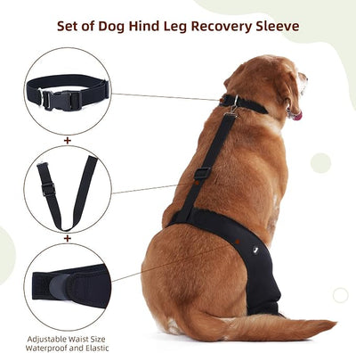 Dog Recovery Sleeve for Back Leg, Breathable Material, Leg Sleeve to Stop Licking and Biting, Firm and Secure, Adjustable Size, Comfortable Alternative to Cone Collars (3XLarge, Single Leg)
