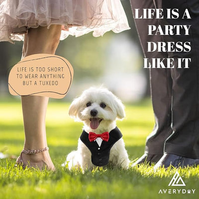 AVERYDAY Dog Tuxedo for Wedding Outfit, Dog Suit and Tie Costumes for Birthday, Halloween, Cosplay, Christmas Party, Pet Formal Wear with Bowtie, Tux for Small Dogs, Chihuahua, Bichon, Maltese, Cats