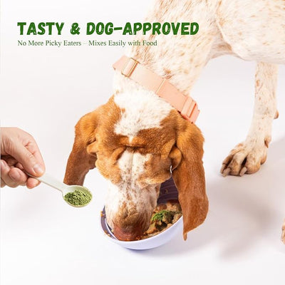 Dog Dental Powder, 200g Dental Powder for Dogs Teeth Cleaning and Breath Fresh, Dog Teeth Cleaning Powder with Natural Plants Ingredients and Postbiotics