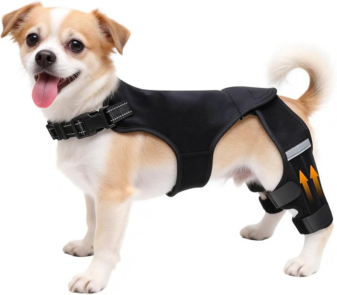 Dog Knee Braces for Torn ACL Hind Leg, Adjustable Dog Leg Braces for Back Leg with 4 Stabilizers for Luxating Patella Relieves Ligament Injury and Joint Pains