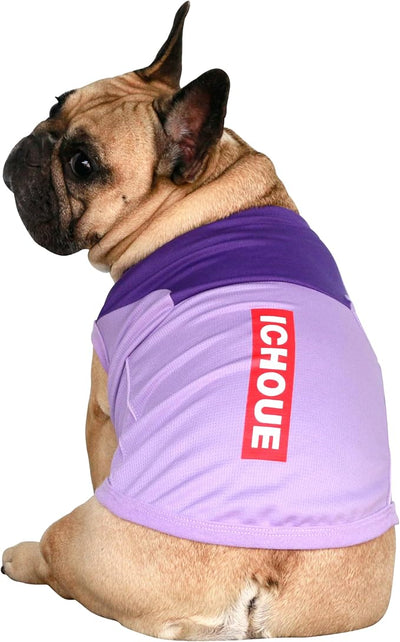 iChoue French Bulldog Summer Cooling Shirt for Dogs UV Sun Protection Vest Sleeveless Breathable Tank Top English Pug Purple - Medium