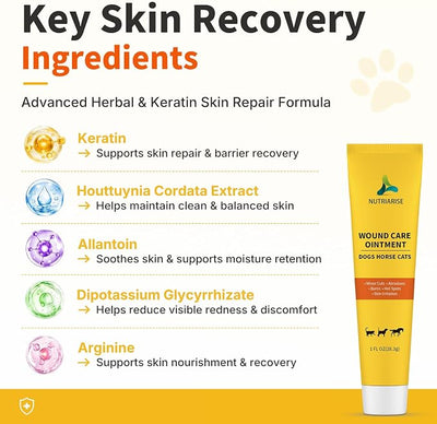 Wound Care Ointment for Dogs & Cats - Antibiotic Wound Ointment for Dogs, Cat Wound Ointment, Hot Spot & Itchy Skin Relief, Vet-Recommended Healing Ointment, 1oz