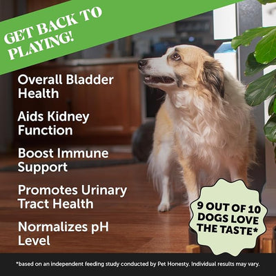 Cranberry for Dogs Urinary Tract Support - Advanced Bladder Control & Kidney Health Supplement - with D-Mannose & Marshmallow Root for Incontinence Support & Normal Urine pH (Bacon, 90 Ct)