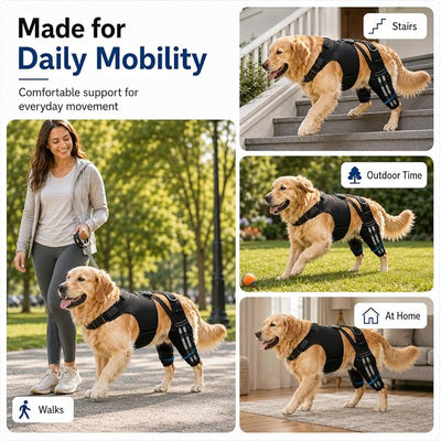 Dog Knee Brace for Back Legs (M) – Dual Hind Leg Support with Hip Harness, Adjustable Joint Stabilizer for Cruciate Ligament & Mobility Assistance, Breathable Pet Leg Wrap