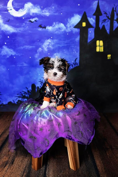 Fitwarm Halloween Skeleton Dog Costume Lightweight Velvet Pajamas Pet Clothes Doggie PJS Puppy Onesie Doggy Outfits Cat Jumpsuits Black XL
