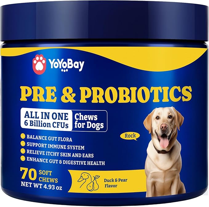Probiotics for Dogs - Dog Probiotics for Digestive Health, Yeast, Itchy Skin, Gut Health, Immune & Skin - 6 Billion CFUs, 70 Soft Chews, Duck & Pear Flavor - with Prebiotics & Digestive Enzymes