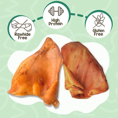 Nature Gnaws Pig Ears for Dogs (15 Count) - Thick Long Lasting for Aggressive Chewers and Large Dogs - Natural Pork Dog Chew Bones - Rawhide Free