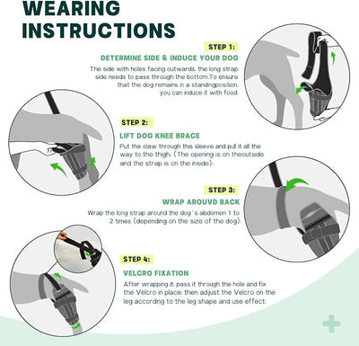 Dog Knee Brace for Torn ACL Hind Leg – Support Dog Leg Brace for Back Leg with 2 Stabilizers, Adjustable Hip Support to Reduces Pain Luxating Patella, Ligament Injuries, CCL (Right Leg, L)