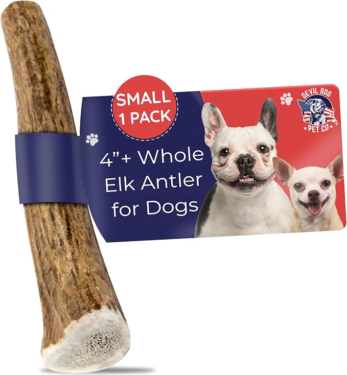 Elk Antlers for Dogs, Natural Dog Chew for Aggressive Chewers - Long Lasting and Odor Free - USA Sourced - Cleaner Teeth, Anxiety & Boredom Relief - Whole Small 4"+ - Antler Bone