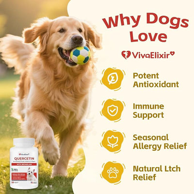 Quercetin & Bromelain Tablets for Dogs — for Skin Allergy, Atopic Dermatitis, Ear Infection Treatment & Joint Inflammation — Immune & Anti-Inflammatory Support — Vet-Formulated