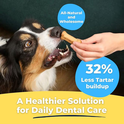 Tartar Shield® Dental Dog Biscuits | Safe Daily Treats | Cookie Cleans Teeth & Gums Fresh Breath Natural Oral Health Support | Tasty Lean Chicken Flavor | USA Made