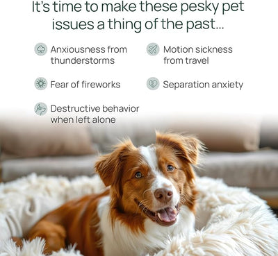 pawTree Chillax - Natural Calming Hemp Chews for Dogs and Cats - Formula to Relieve Stress and Tension; Ease Travel, Separation Anxiety and Soothe Fear - Small Soft Chews (60 Count)