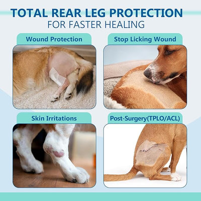 Dog Rear Leg Sleeve to Stop Licking, Breathable Anti-Slip Recovery Sleeve Pants for Wound Protection After ACL/TPLO Surgery, Hot Spots, Lick Granulomas–Cone Alternative for Leg Healing,XL