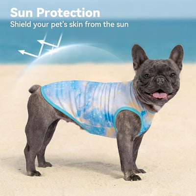 cyeollo 2pack Dog Cooling Shirt, Breathable Sleeveless Summer Clothes for Dogs, Intant Cool Dog T Shirts for Small Dogs, Blue Sky M