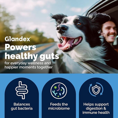 Vetnique Glandex Dog Probiotic Powder, Daily Probiotics for Dogs 5 Strains, Prebiotics & Digestive Enzymes for Gut & Immune Health, Vet Formulated for Occasional Diarrhea (8.5oz Powder, Pork Powder)