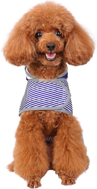 Dog Raincoat for Medium Dogs Puppies Waterproof Jacket Hooded Rain Coats with Reflective Strips Leash Hole & Poncho Adjustable Fit (Bluestripe,M)