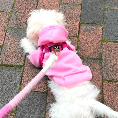 Jecikelon Soft Dog Hoodies for Small Dogs, Fleece Puppy Sweatshirt with Pockets, Warm Winter Cold Weather Coats for Pet Cat, Cute Clothes Puppy Costume (Pink, Medium)