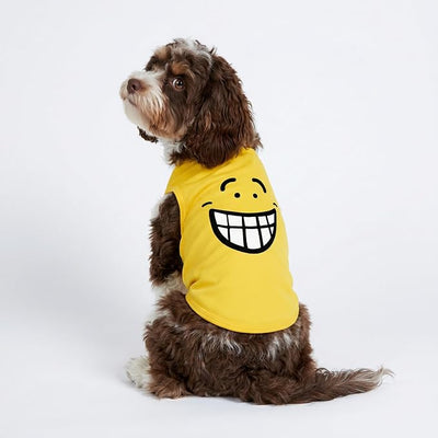 Fitwarm 2 Pack Happy Scary Expression Dog Shirt, Funny Clothes for Small Dogs Boy Girl, Pet Outfit, Yellow, Purple, XL