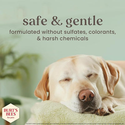 Burt's Bees for Pets Itch Relief Spray for Dogs, Manuka Honey & Chamomile, Soothes Itchy Skin Between Baths, Naturally Derived, No Artificial Fragrances, Sulfates or Colorants, 10 Fl Oz