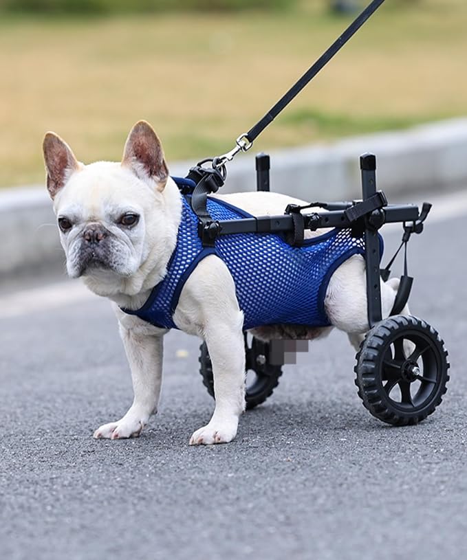 Adjustable Small Dog Wheelchair for Back Legs, Upgraded 5.5in Textured Wheel, Disabled Pets, Leg Brace, Mobility Aid, Hind Limb Rehabilitation, Older, Disabled (XS (Chest 12.6-16.1in))