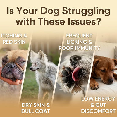 Dog Allergy Chews is Collagen Omega 3 Human Anti Itch Relief for Dogs Multivitamin Itching Skin Relief and Aller Immune Pet Allergy Chews Coat Licking Supplement Pills Meds Treats 200 Bites for Dogs