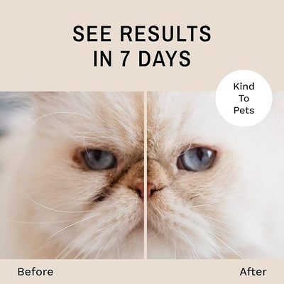 Eye Envy Tear Stain Remover Powder for Dogs and Cats. Natural, Safe Formula. Apply Around Eyes. Absorbs and Cleans Tears and Staining. Keeps Area Dry. Made in The USA. (.5 oz)