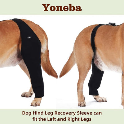 Dog Recovery Sleeve for Back Leg, Breathable Material, Dog Leg Sleeve to Stop Licking and Biting, Firm and Secure, Adjustable Size, Comfortable Alternative to Cone Collars (Small, Single Leg)