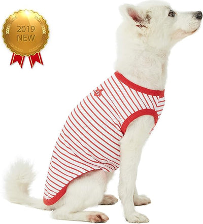Blueberry Pet Soft & Comfy Summer Vacation Beach Cotton Dog T-Shirts, 2 Pack, Sea Lover Girl Power Shirts Tank Top Clothes, Back Length 10", for Small Dogs