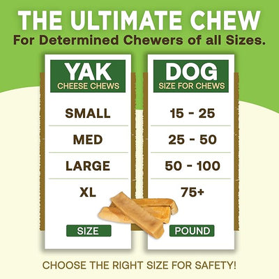 EcoKind Yak Cheese Himalayan Dog Chews, Yak Chews for Large Dogs, Long Lasting Bone for Aggressive Chewers, Only 3 Ingredients, Natural High Protein Dog Treat, No Additives, Lactose Free, XL - 3 Chews