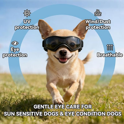 Enjoying Dog Sunglasses Extra-Small to Small Breeds, Dog Goggles UV Protection, Driving Eye Protection for Little Dogs, Breathable Windproof Dustproof Anti-Fog, Adjustable Straps, Cool Black