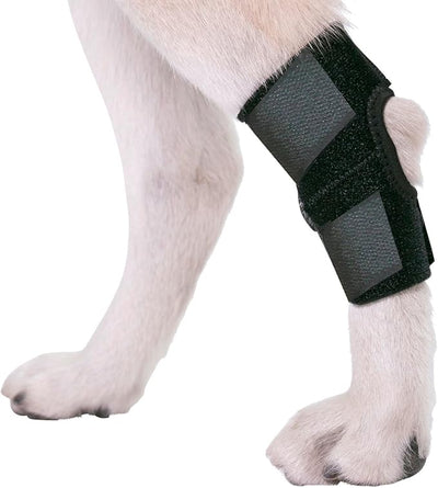 Agon® Dog Leg Braces For Back Leg wrap hock compression protects wounds and helps heal hind legs rear ankle joint, preventing injuries, sprains providing stability for dogs, canines arthritis (Medium)