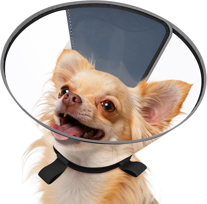 Clear Dog Cone for Small Dogs After Surgery, Adjustable E-Collar to Stop Licking with Padded Neck for Chihuahua,etc, Soft Recovery Collar with Reflective Trim for Night Visibility, Black XXS