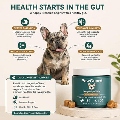 Chew for Frenchies, French Bulldog Chews for Dogs, for Gut Health, Skin & Coat, Immune System, Joint Mobility Pork Flavor, 60 Count (2 PCS)