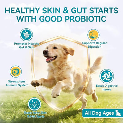 Probiotics for Dogs, 200 Soft Chews with Digestive Enzymes and Prebiotics, Daily Digestive Support for Gut Health and Stool Balance, Chicken Flavor