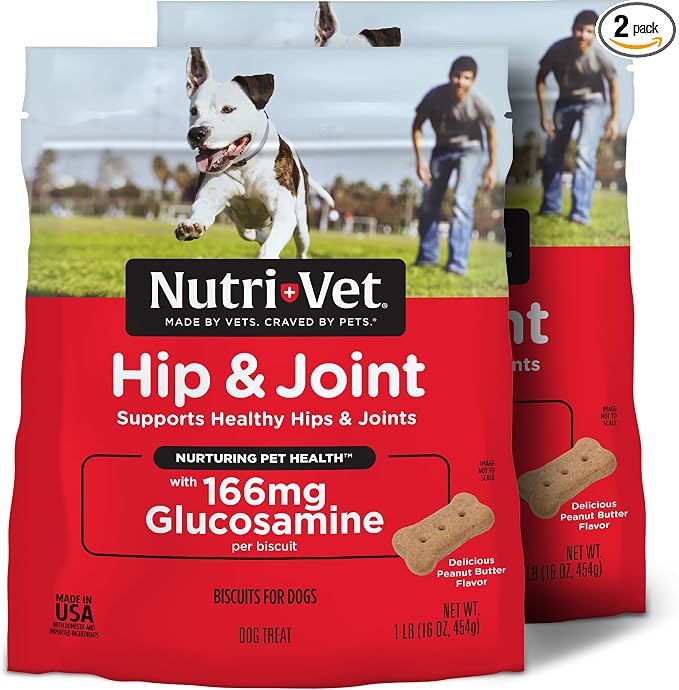 Hip & Joint Biscuits, Dog Joint Supplement, Dog Treat, Small Sized Biscuit with 166mg Glucosamine, Puppy Supplements, Tasty Glucosamine Treat, Puppy Essentials, 16 oz (Pack of 2)