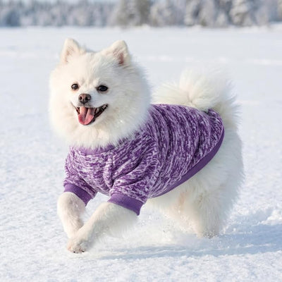 1 Pack Dog Sweaters for Small Dogs Girl Boy Winter Fleece Clothes Warm Soft Dog Sweatshirt Outfit for Dogs Cats Pet Apparel