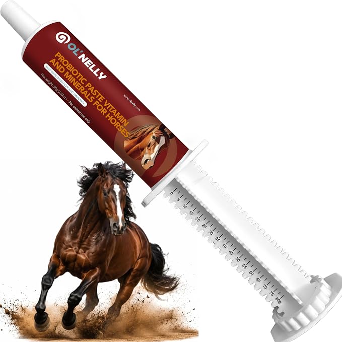OL' NELLY Equine Probiotic Paste | Supports Equine Gut Health, Hindgut, Digestion, Immune Support, Energy, Coat & Hooves,12 Billion CFU Multi-Strain + Prebiotic, Vitamins & Minerals 80cc Syringe