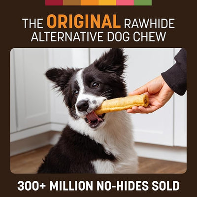 Earth Animal No Hide Chews - Long Lasting Rawhide Free Medium Dog Chews Rolls, Chicken - 2 Count