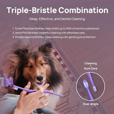 HICC PET Toothbrush for Dogs & Large Cats, Vet-Recommended Ergonomic Pet Toothbrush for Easy Teeth Cleaning, Gentle on Gums, Cat & Dog Dental Care, Improves Oral Hygiene. Toothpaste Not Included
