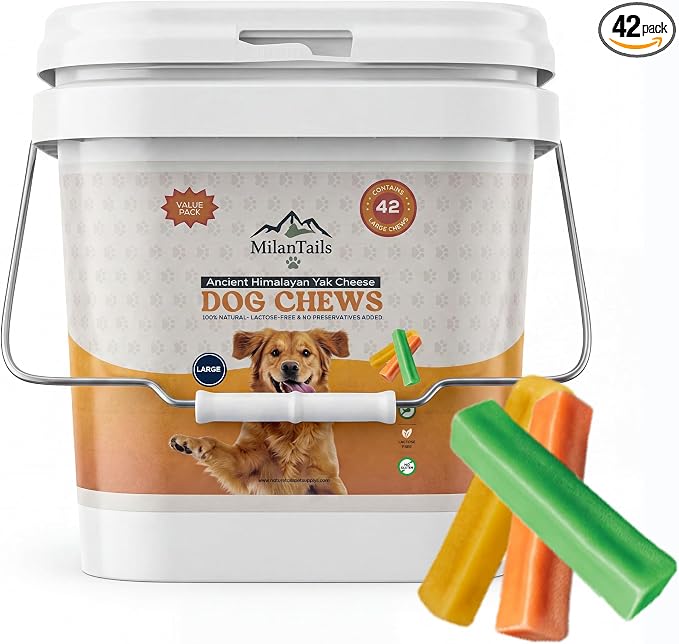 Premium Natural Fruit-Flavored Himalayan Yak Chew for Dogs, All-Natural, Long-Lasting (Large 42 Pack Bucket, Assorted(Mint, Pumpkin,Turmeric))