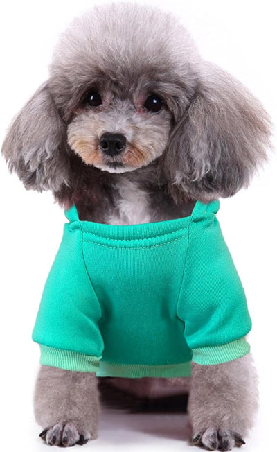 Jecikelon Print Dog Hoodies for Small Dogs, Soft Fleece Puppy Clothes for Pet Cat, Warm Winter Outfits Cold Weather Coats, Cute Sweatshirt Puppies Costume (Cyan, Medium)