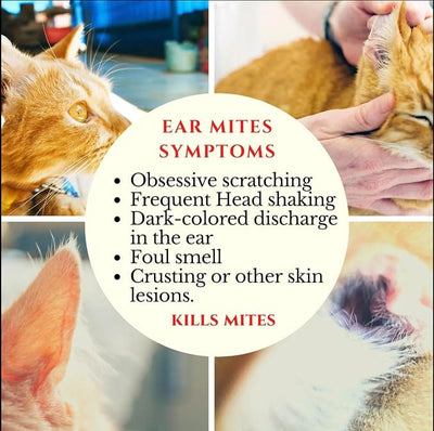 Petglow Ear Mites Treatment for Dogs