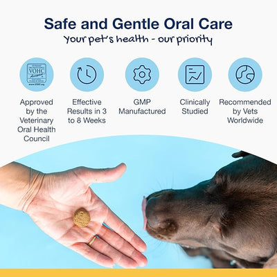ProDen PlaqueOff Soft Chews with Organic Kelp - for Small & Medium Breed Dogs & Cats - Supports Normal, Healthy Teeth, Gums, and Breath Odor in Dogs & Cats - 45 Soft Chews