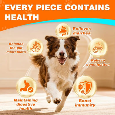Probiotics for Dogs Dog Probiotics for Digestive Health Probiotic for Dogs Gut Health Itchy Skin Dog Probiotics for Diarrhea Dog Constipation Relief Gas for Dogs Immune Support Chicken Flavor 90ct
